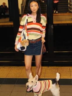 Alaia Polo Sweater - Pink Stripe