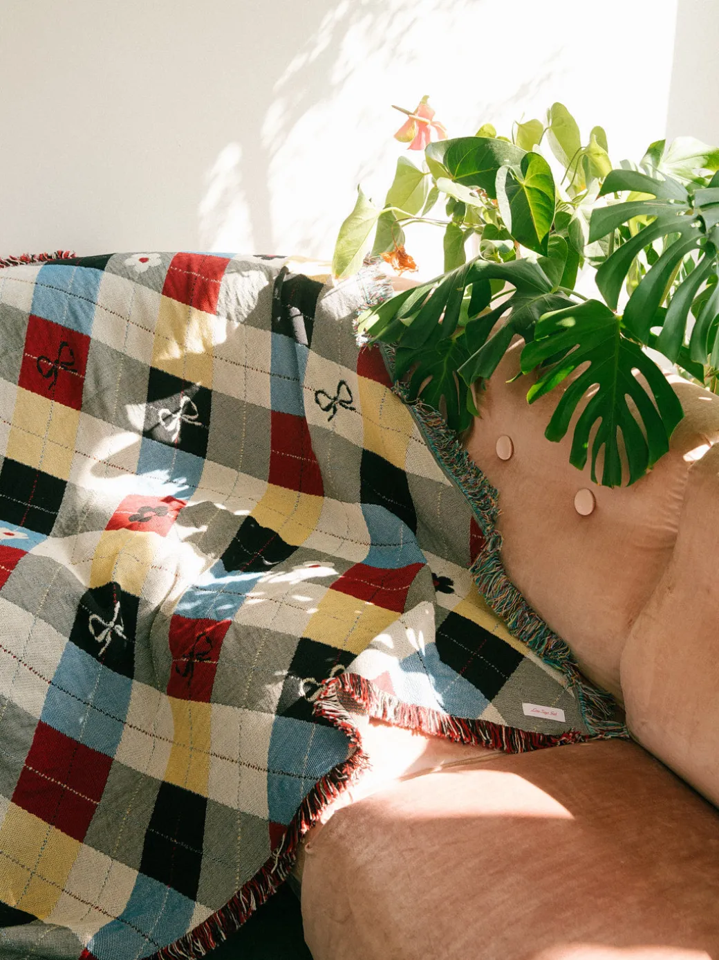 Archie Throw Blanket - Cirque Argyle