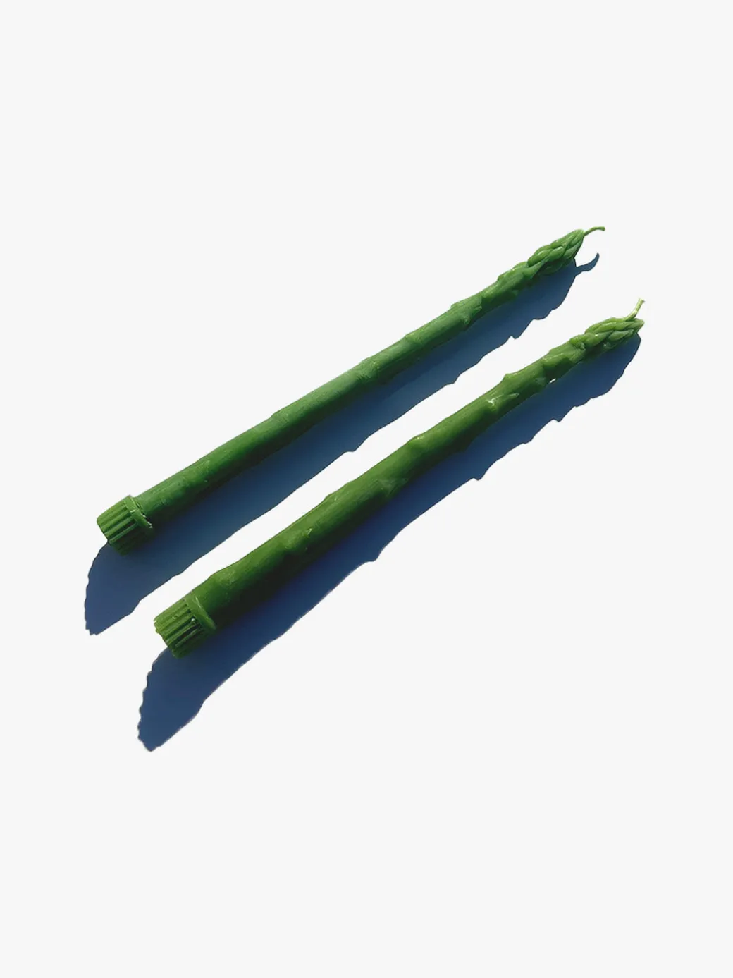 Asparagus Candle Tapers - Asparagus