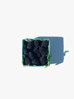 Blackberry Candle Set - Blackberry