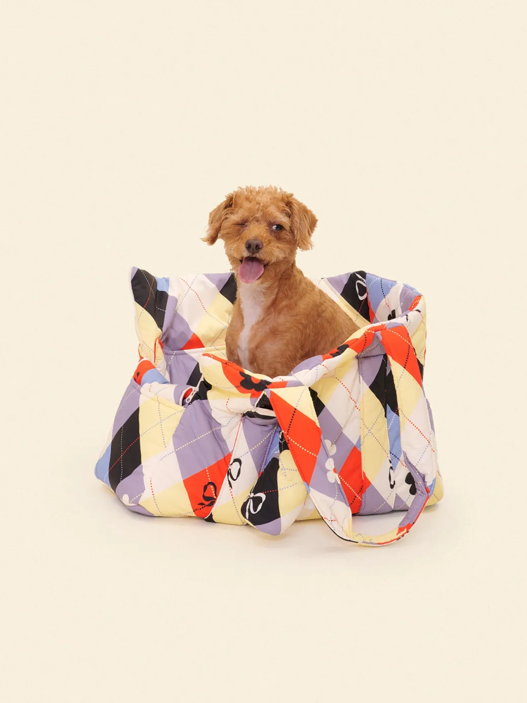 Dog Carrier - Cirque Argyle