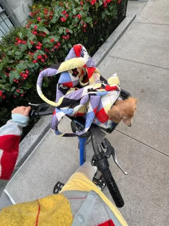 Dog Carrier - Cirque Argyle