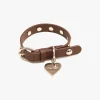 Dog Stud Collar - Brown