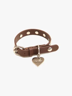 Dog Stud Collar - Brown