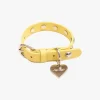 Dog Stud Collar - Butter