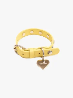 Dog Stud Collar - Butter