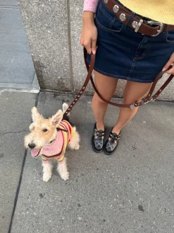 Dog Stud Leash - Brown