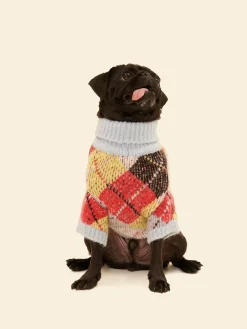 Dog Sweater - Cirque Argyle