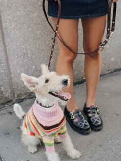 Dog Sweater - Pink Stripe
